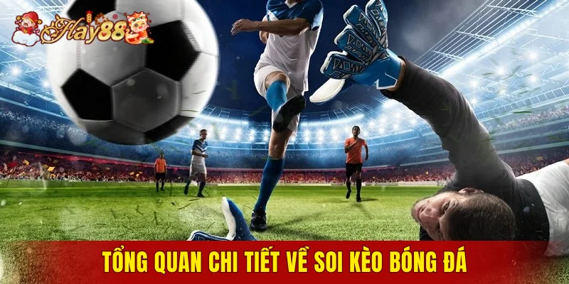 Tổng quan chi tiết về soi kèo bóng đá